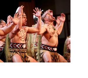 Haka for social action blofg